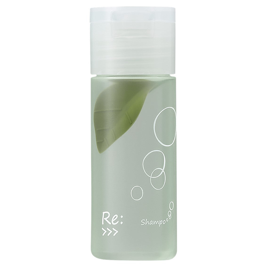 Re:>>> Shampoo【シャンプー】